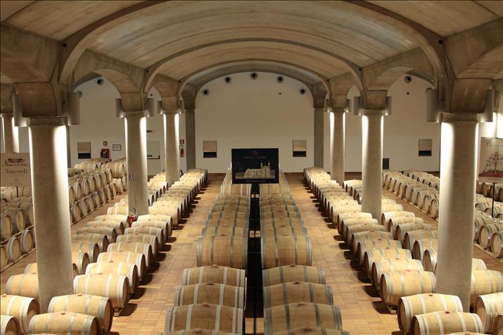 Marsala - Cantine Donnafugata nave punica e laguna dello stagnone | Zagare & Gelsomini | Transfer San Vito Lo Capo